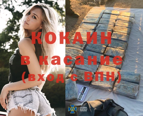 дмт Абаза