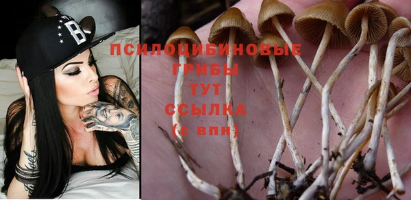 дмт Абаза