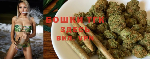 дмт Абаза